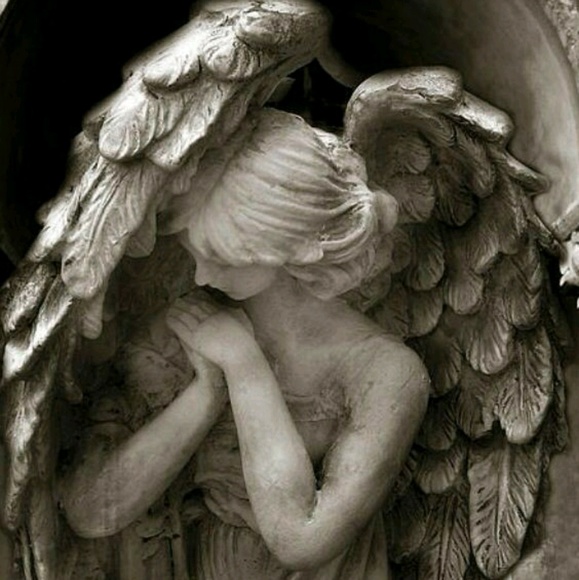 Meet your Posher, Melissa - Picture 1 of 1